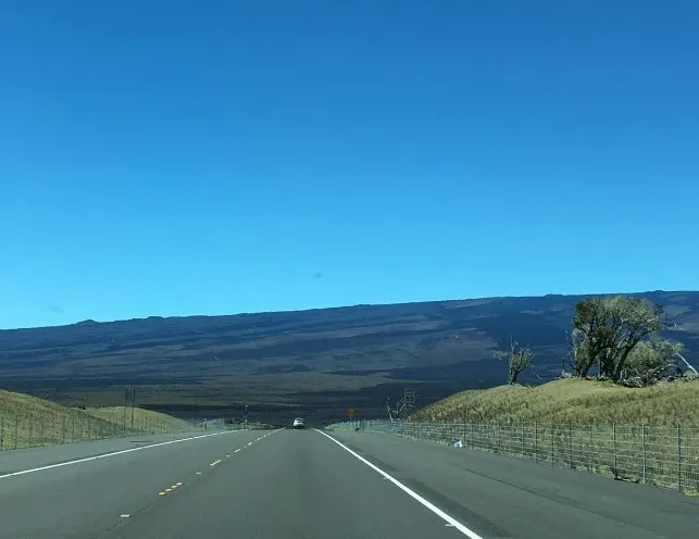 ハワイの道路