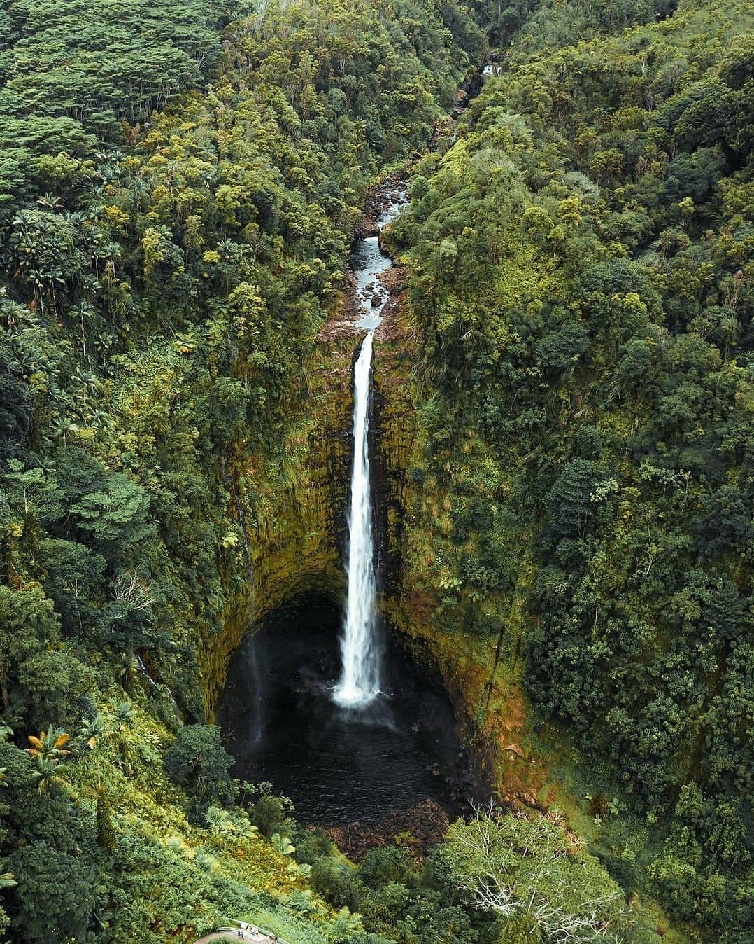 アカカ滝　ハワイ