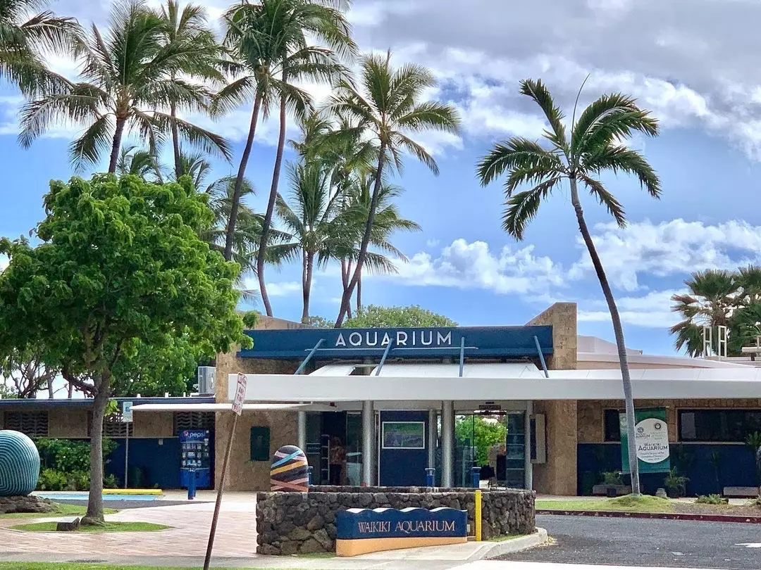 ワイキキ水族館 