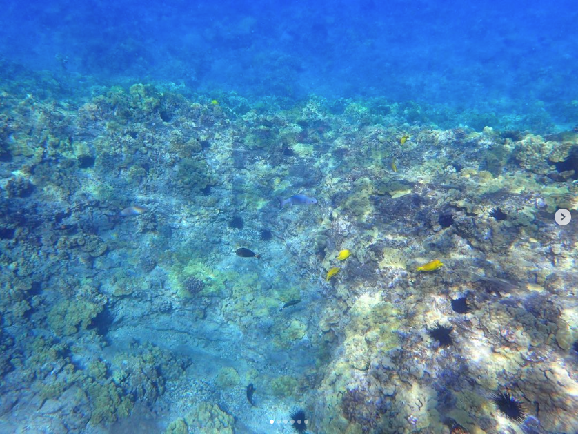 マウイ島　モロキニ島