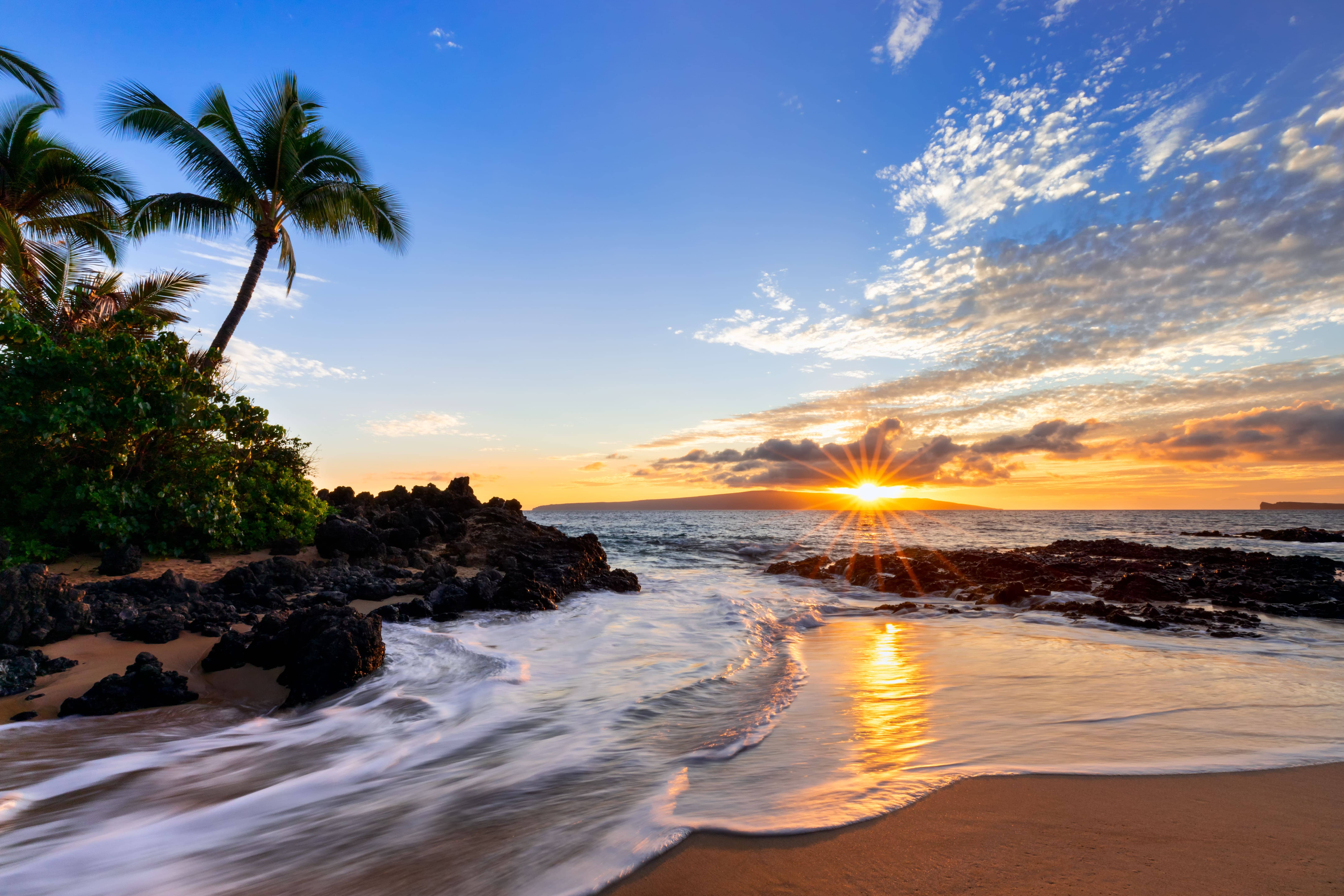 ハワイ在住ライターが教える！マウイ島の観光＆グルメスポットまとめ | ALOCO（アロコ）