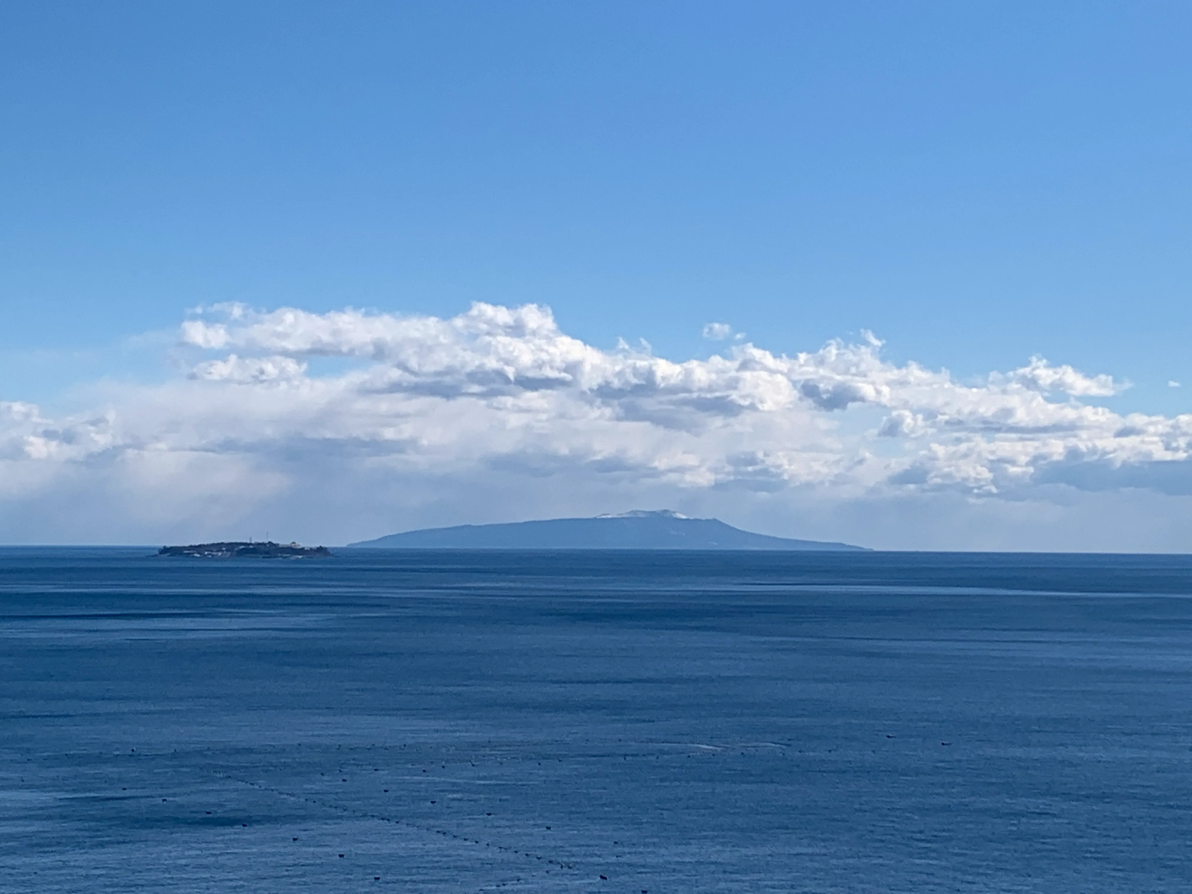 伊豆半島から見る大島